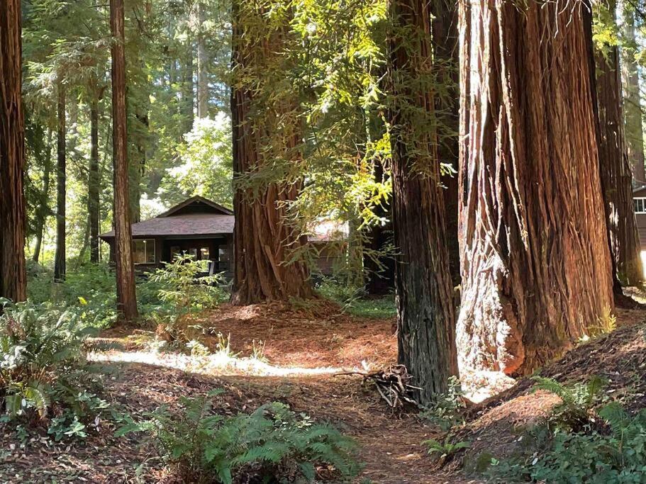 The Groves At Redway Beach - Craftsman Bagian luar foto